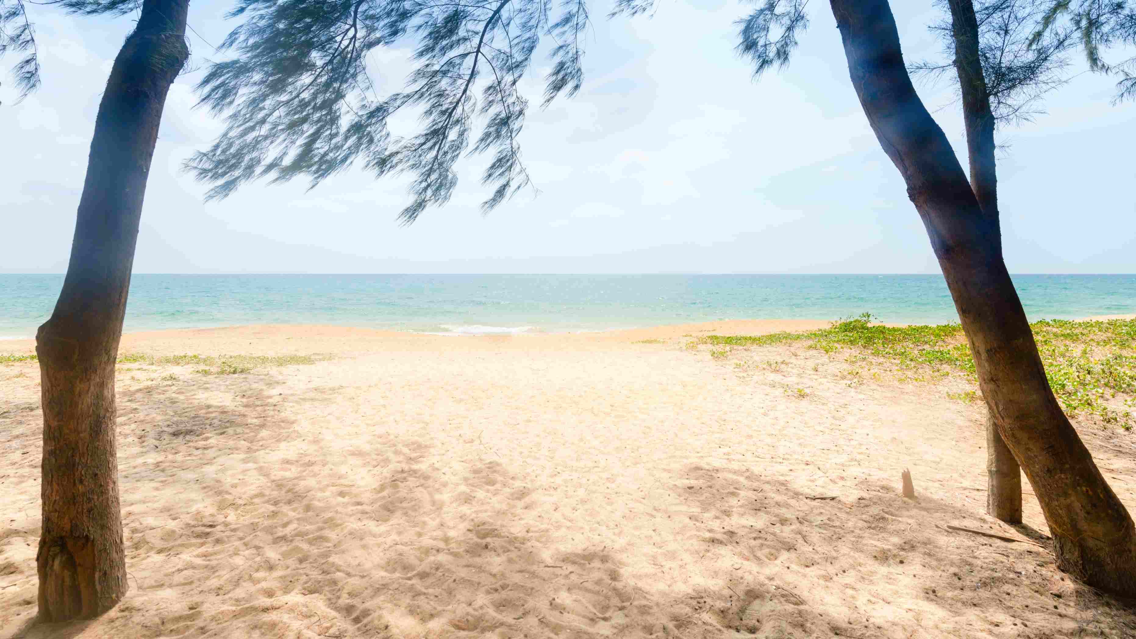 jaffna beach image