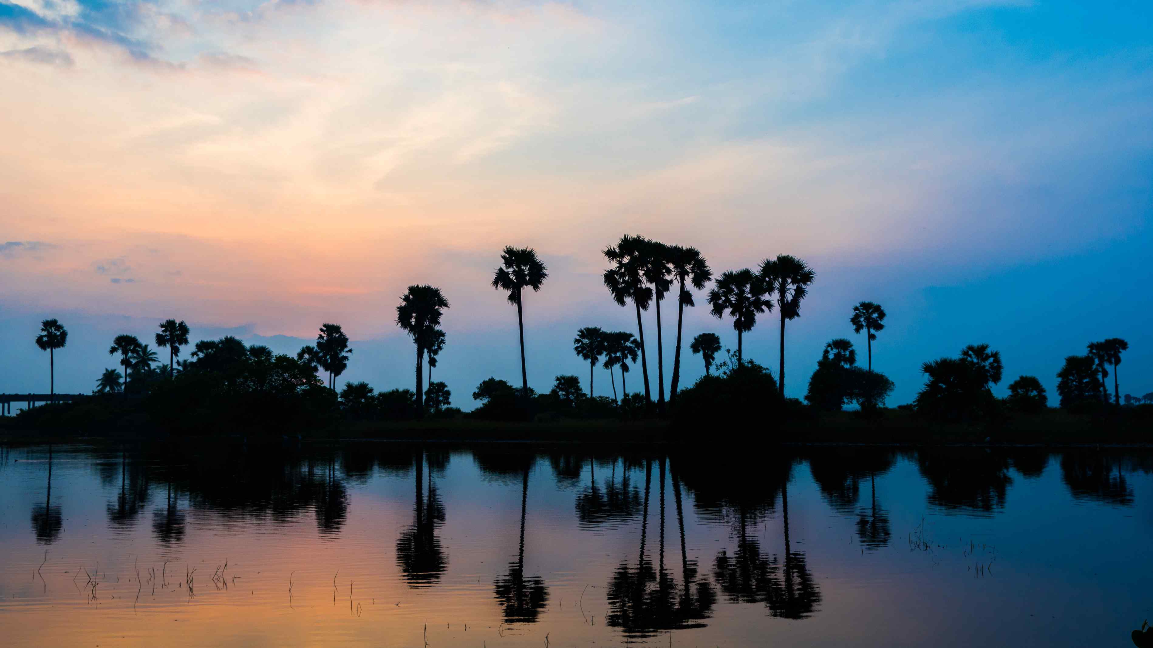 jaffna sunset image